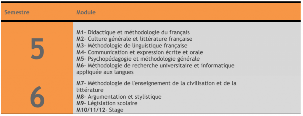 LP-Enseignement-du-Français-FP-Errachidia